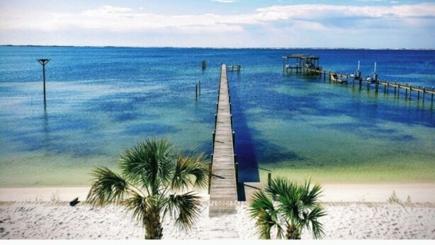 Una spiaggia con un molo di legno che si protende in acque blu calme, circondata da sabbia bianca e palme.