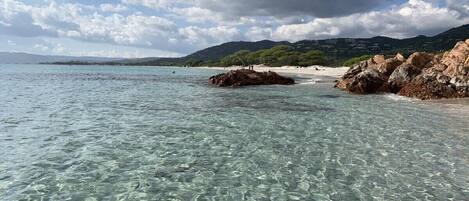 Strand