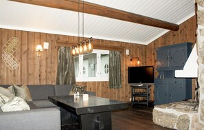 تلفزيون، مدفأة، مشغل دي في دي