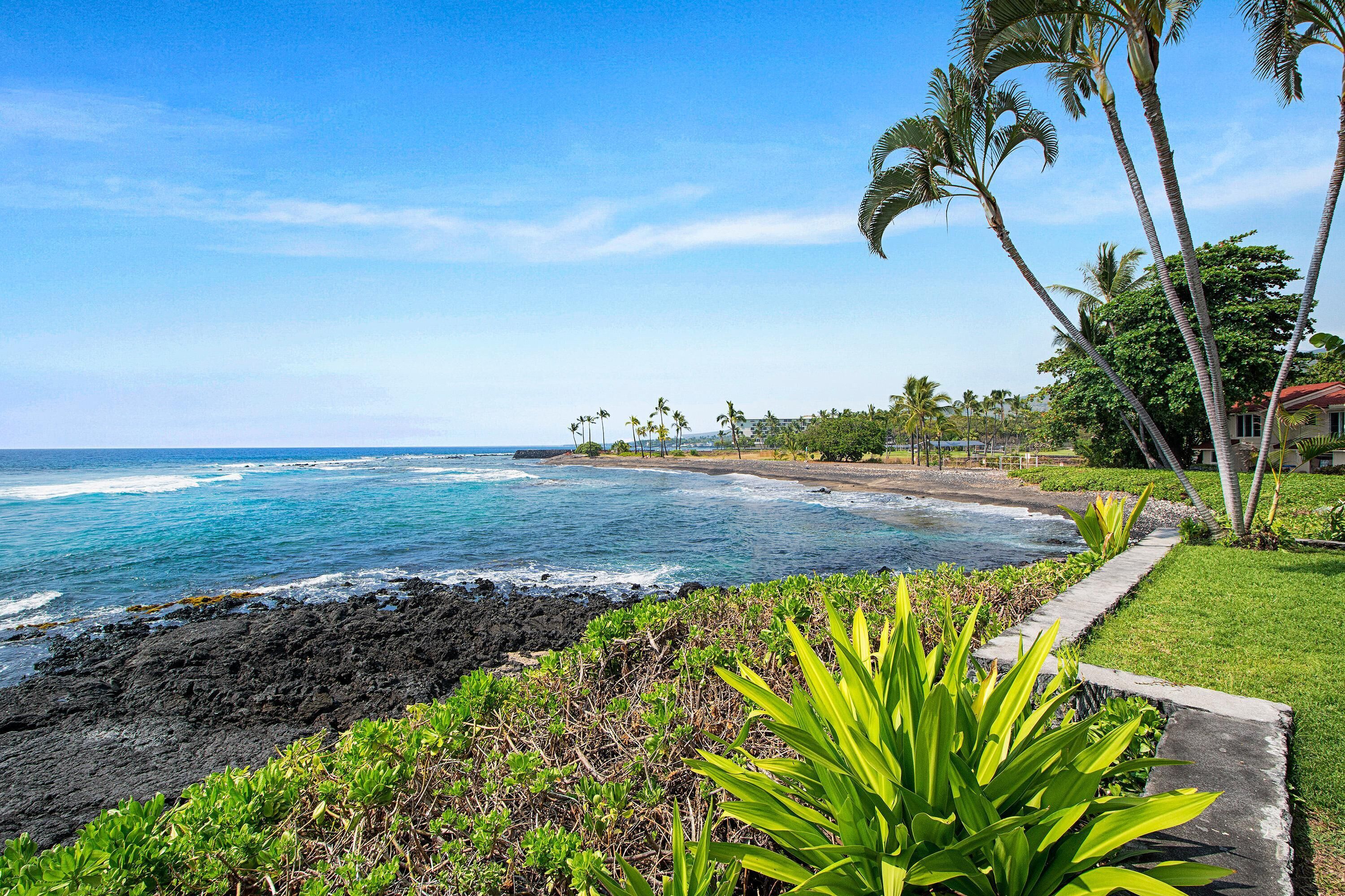 A coastal landscape with a clear view of the ocean, a grassy area with plants, and a building with a red roof.