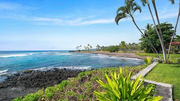 A coastal landscape with a clear view of the ocean, a grassy area with plants, and a building with a red roof.