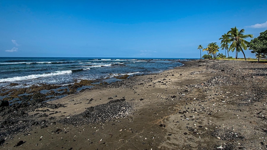 Keauhou Kona Surf & Racquet Club #1-103
