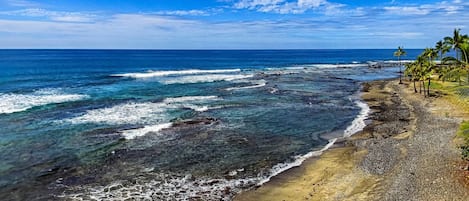 Une plage aux eaux d’un bleu limpide, bordée d’un rivage sablonneux et de palmiers.