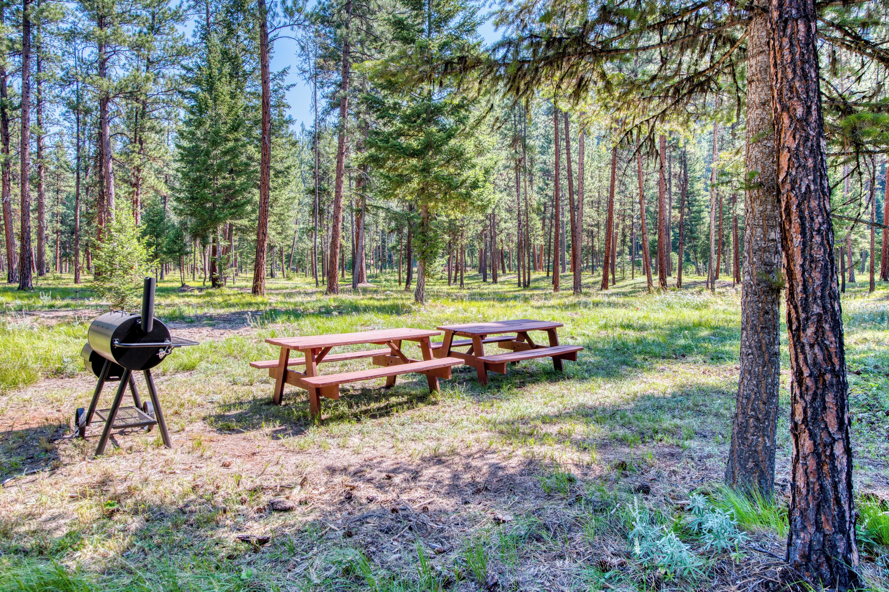 A picnic area with a grill and benches in a forested setting.