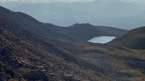 Eksteriør