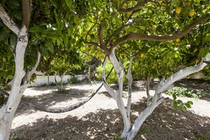 Garden - Harmony Country House-Live in the Nature (Archanes-Asterousia)