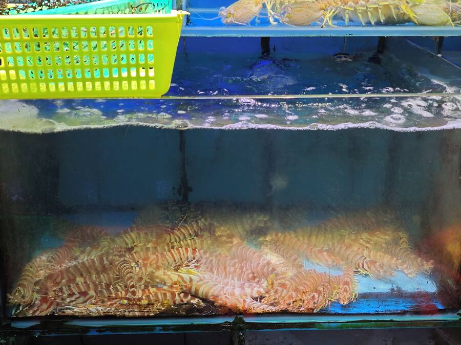 A large aquarium with multiple tanks, each containing different marine life.