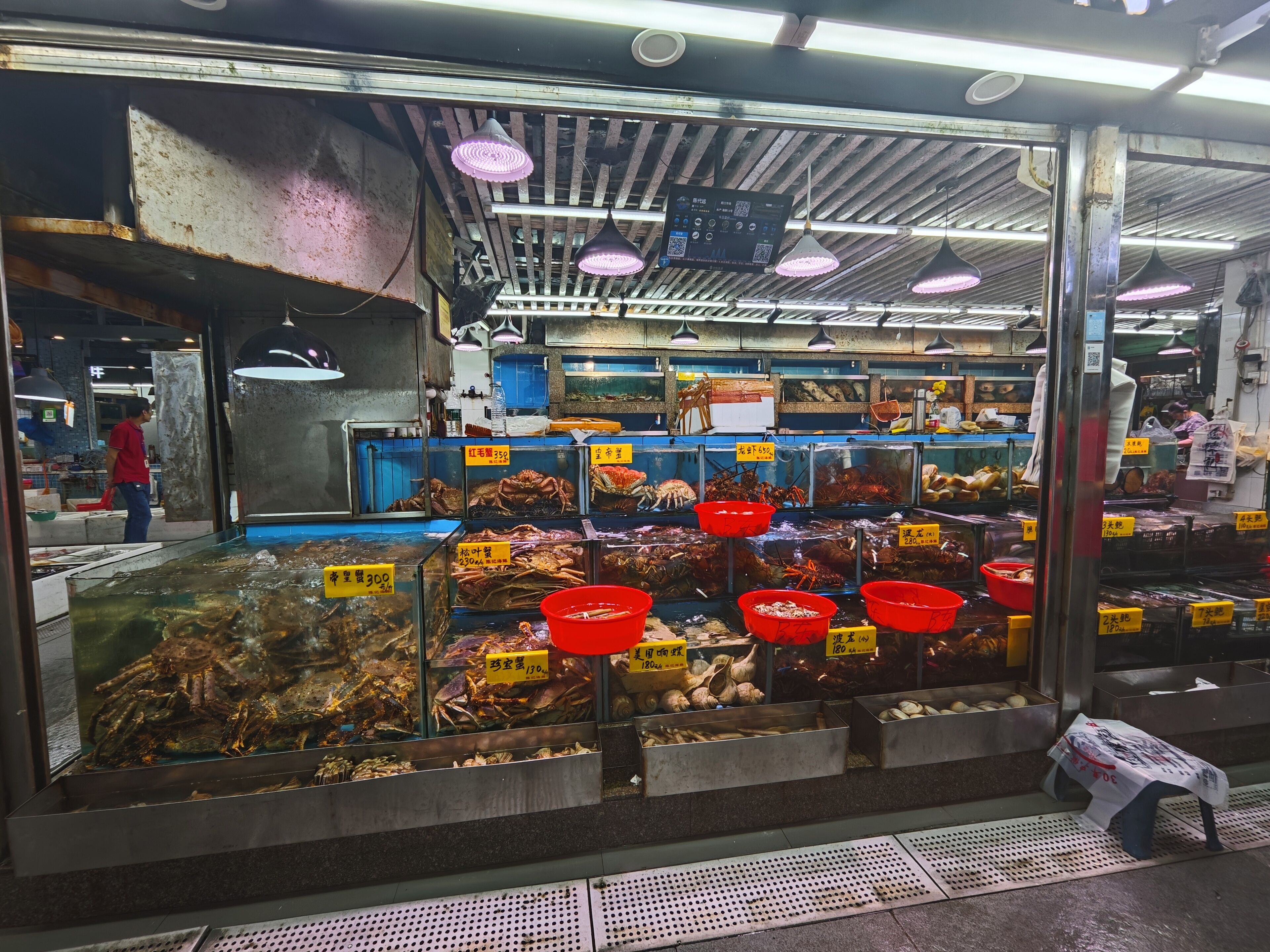Een vismarkt met diverse zeevruchten uitgestald in glazen vitrines en rode kratten, prijzen zichtbaar.