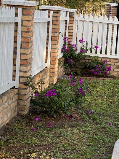Villa de la Rosa R&R – Cozy 2-Bedroom Cabin in the Pines of Siguatepeque 