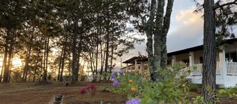 Villa de la Rosa R&R – Cozy 2-Bedroom Cabin in the Pines of Siguatepeque 