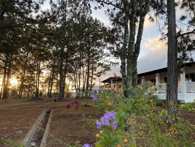 Villa de la Rosa R&R – Cozy 2-Bedroom Cabin in the Pines of Siguatepeque 