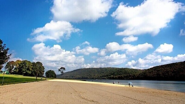 Une plage avec un ciel dégagé, des arbres et un paysage vallonné en arrière-plan.