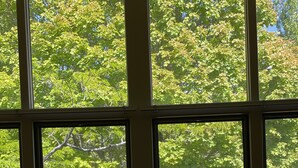 A room with large windows offering a view of trees and a road. - Year round mountain retreat (Flagstaff)