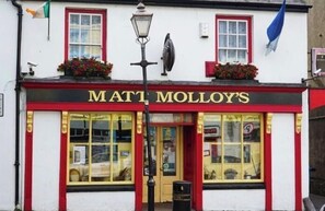 Exterior detail - Immaculate 3-Bed House with private secure garden (Westport)