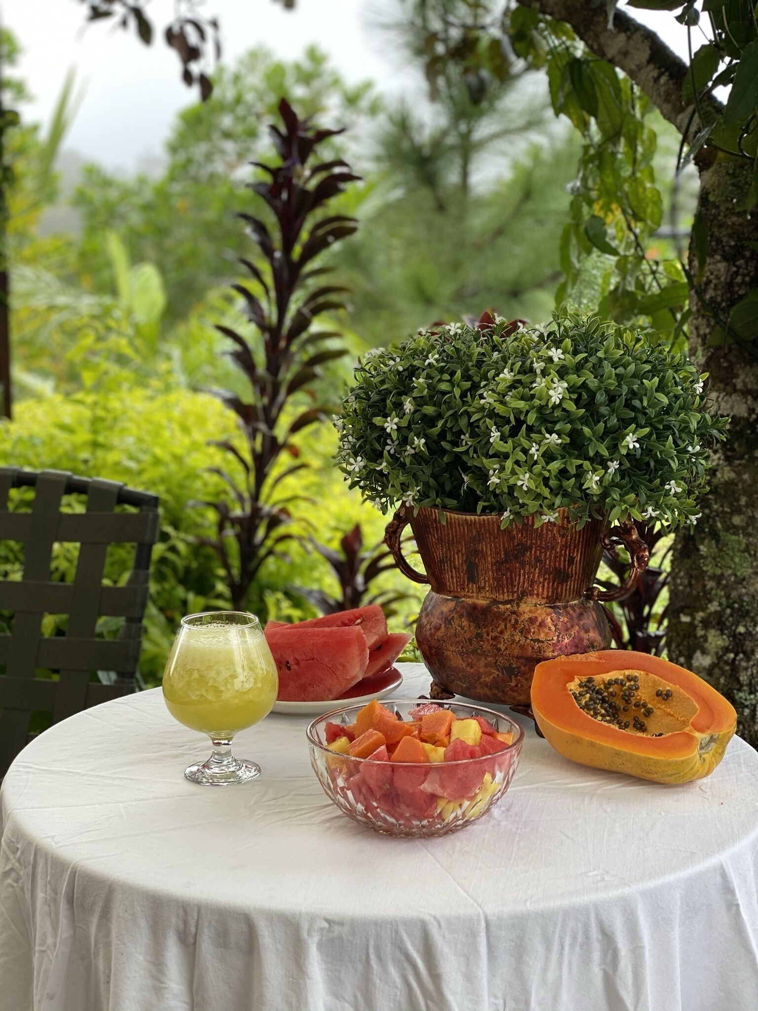 Ein runder Tisch mit weißer Tischdecke, ein Glas gelbes Getränk, eine Schale mit Obstsalat, eine ganze Wassermelone, eine halbierte Papaya und ein Blumentopf.