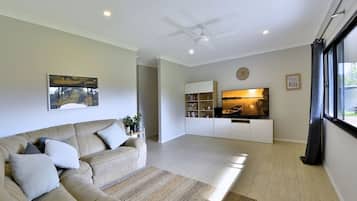 Smart TV, fireplace, books