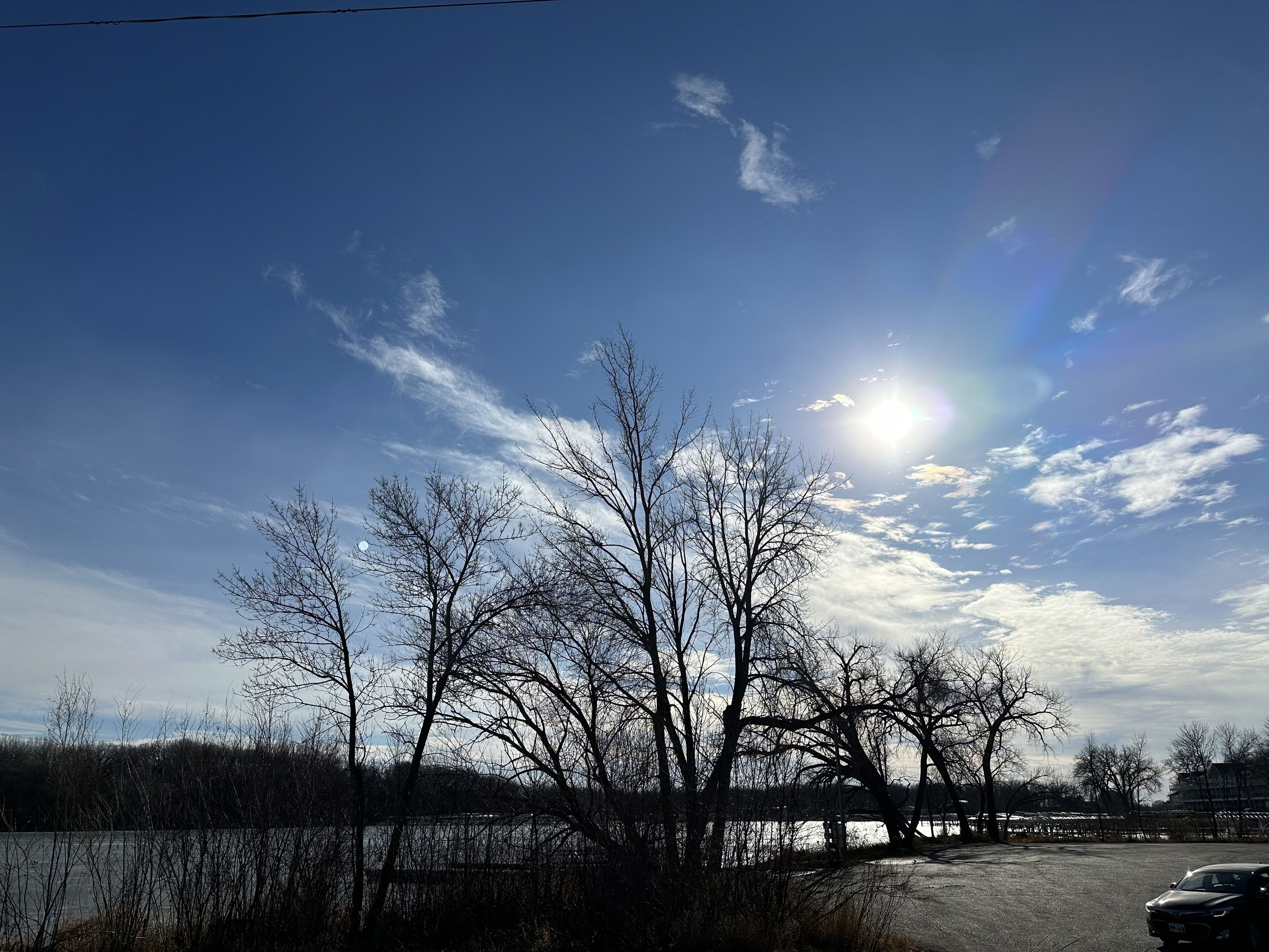 Ein Parkplatz mit Bäumen und blauem Himmel.
