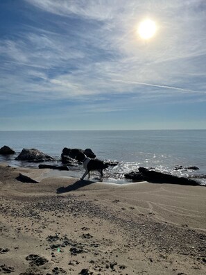 Beach -  #5-The Lazy Fish (Au Sable Charter Township)