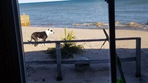 A beach view with a dog on the sand, a wooden fence, and a clear sky. -  #5-The Lazy Fish (Au Sable Charter Township)