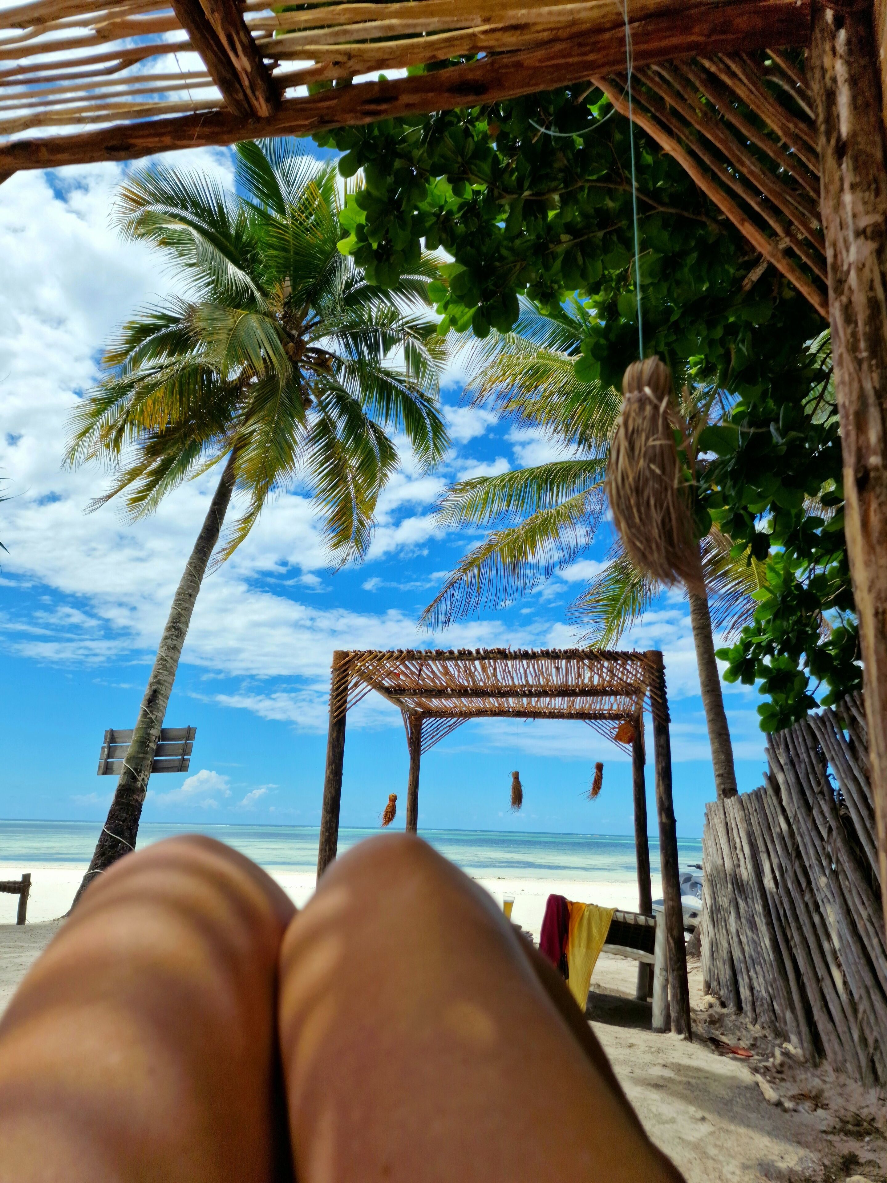 在海滩、沙滩椅