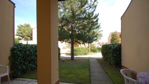 A courtyard with a large tree, a pathway, and a small garden area. - Delta Blu Residence Village - Villetta Trilocale 16 (Lido di Pomposa)
