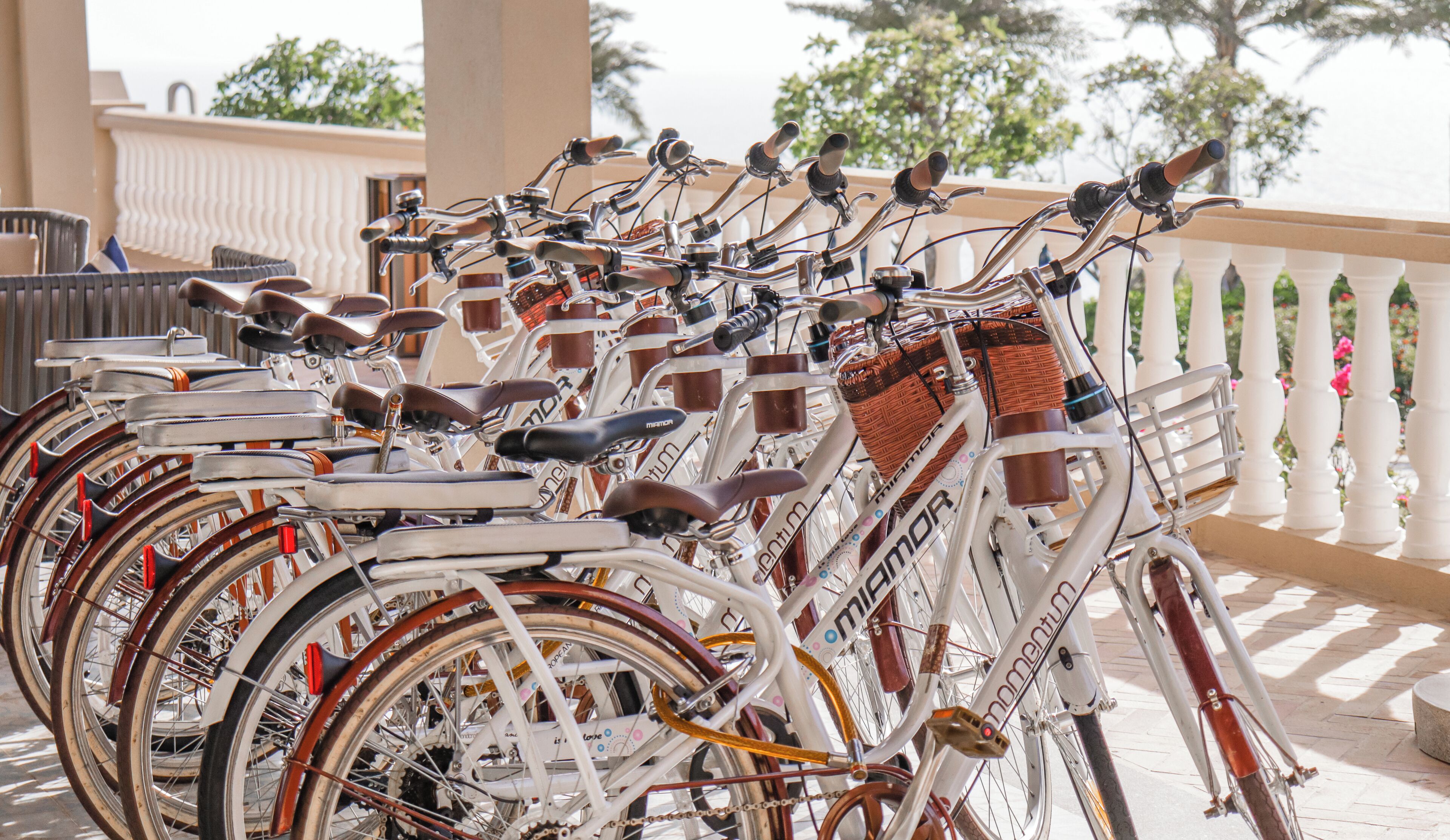 A row of bicycles parked in an outdoor area with a white balustrade and greenery in the background.