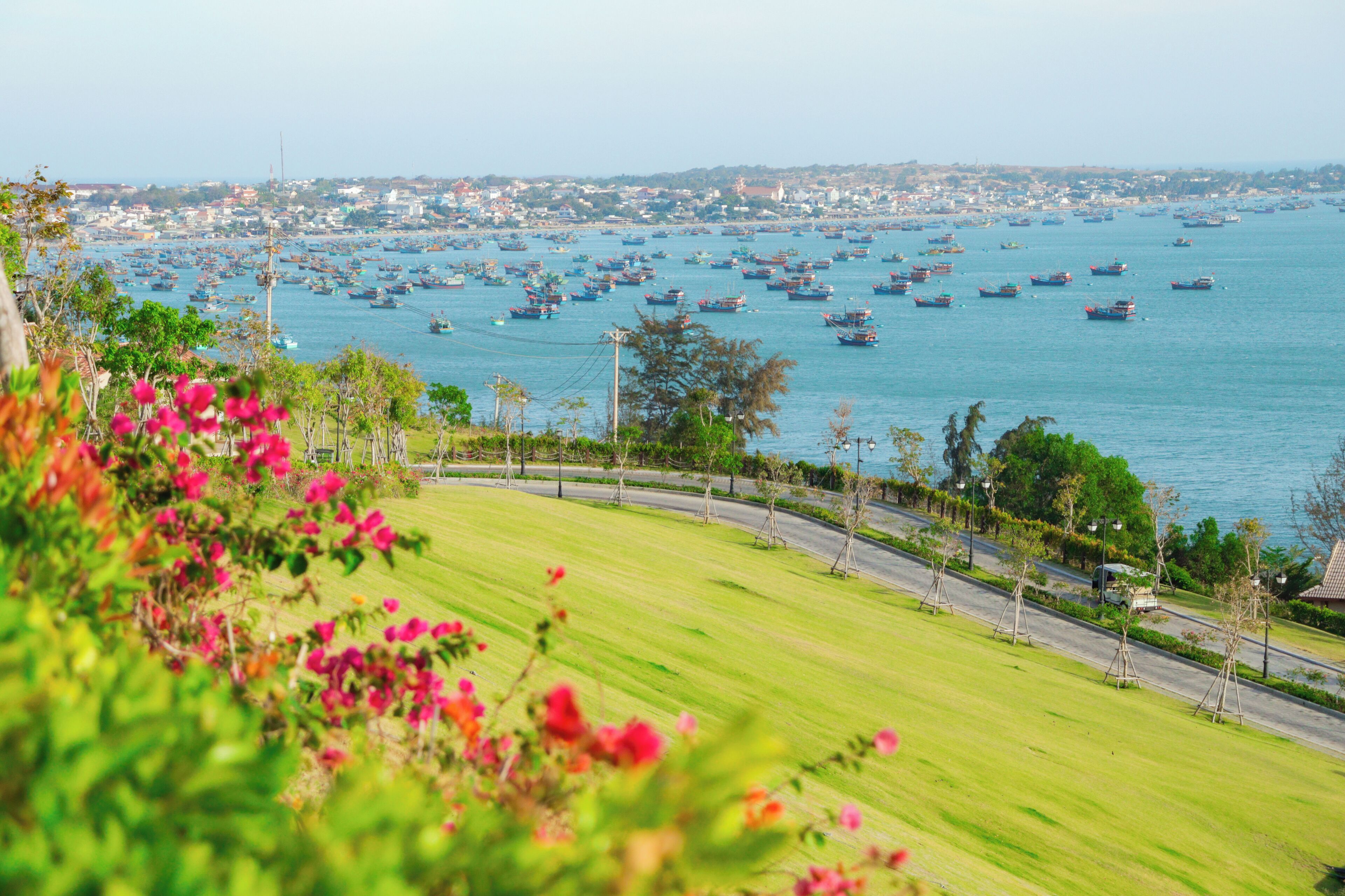 A coastal town with a marina filled with boats, a road with trees, and a grassy area with pink flowers.