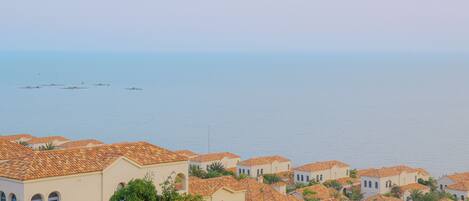 A coastal residential area with terracotta-roofed houses, some with visible balconies, and a clear view of the sea.