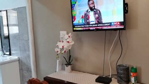 Una habitación con un televisor montado en la pared, una mesita con una planta en maceta y un pulverizador.
