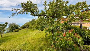 Un paysage verdoyant et luxuriant, avec un arbre au premier plan et un bâtiment en arrière-plan.