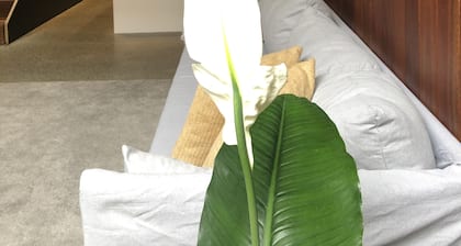 Architecturally Designed Home