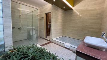 Un baño moderno con ducha de vidrio, inodoro separado y lavamanos con encimera de mármol.