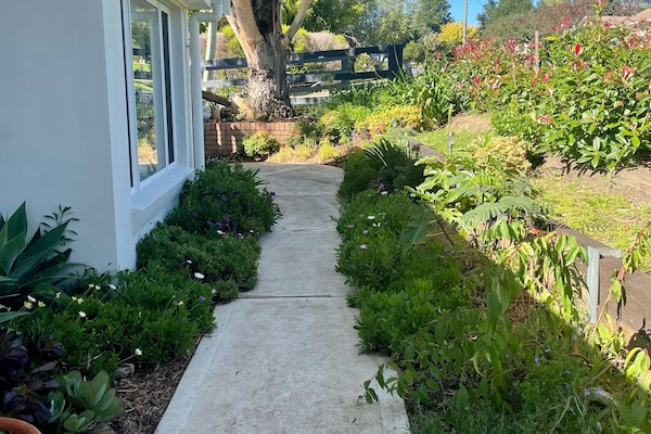 Àrea exterior de l'allotjament