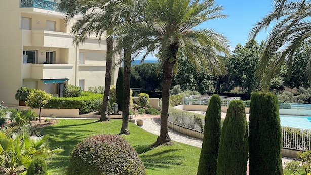 Un jardín bien cuidado con palmeras, setos podados y una piscina.