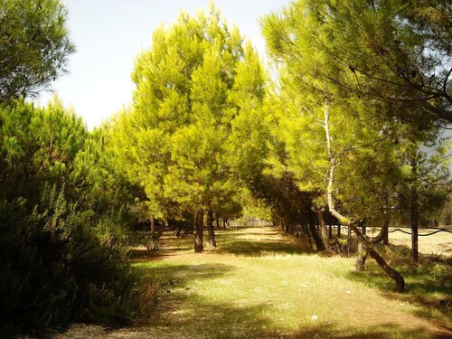 Villa Polimnia sleeps 8. There are 4 bedrooms, two bathrooms and terraces.