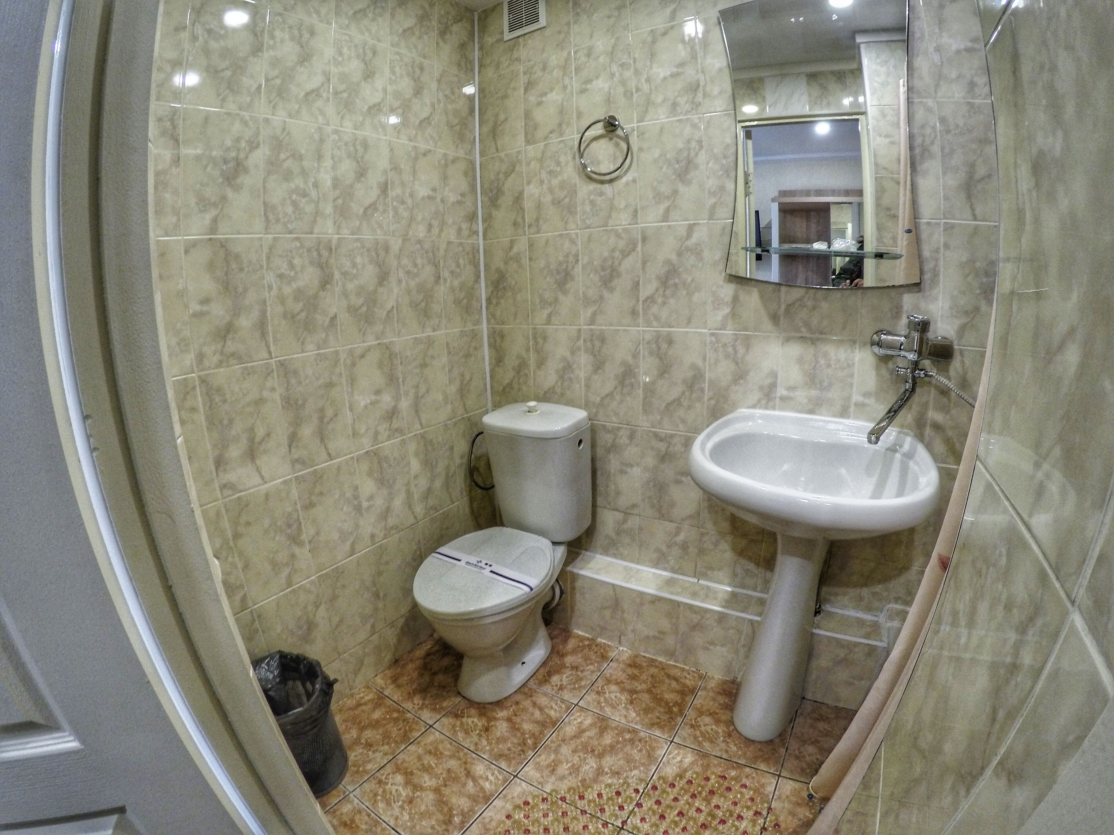 Une salle de bain avec des toilettes, un lavabo et un miroir.