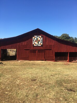 Exterior - Discover Cherohala Skyway in just 6 mins! Cozy 3-bedroom retreat awaits. (Tellico Plains)