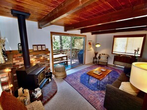 TV, fireplace, books
