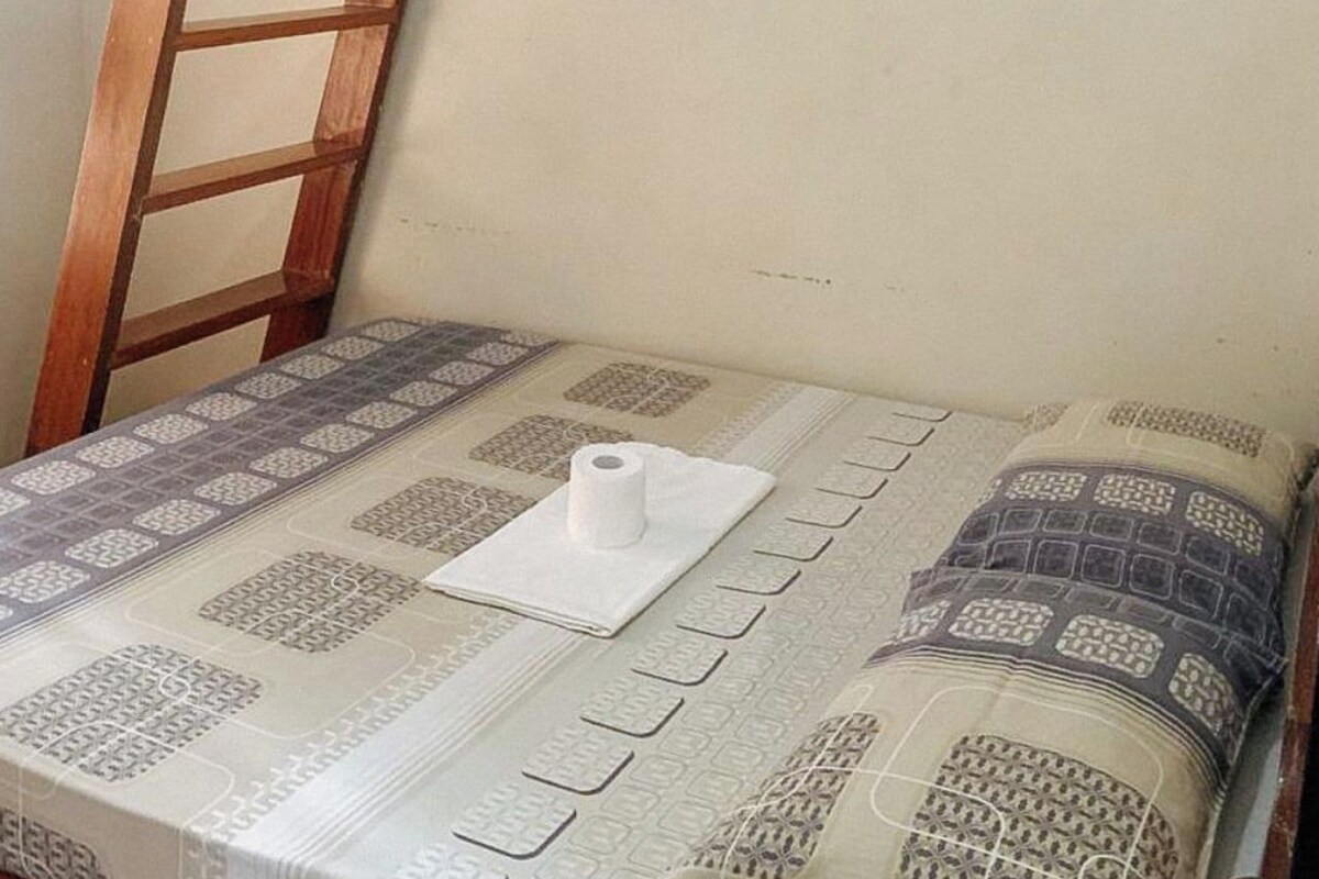 A small, compact room with a single bed, a wooden ladder, and a patterned bedspread.