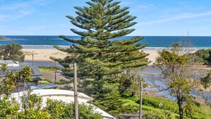 A coastal property with a large pine tree, beach view, and solar panels. - Seven Smiles, Gerroa, South Coast (Gerroa)