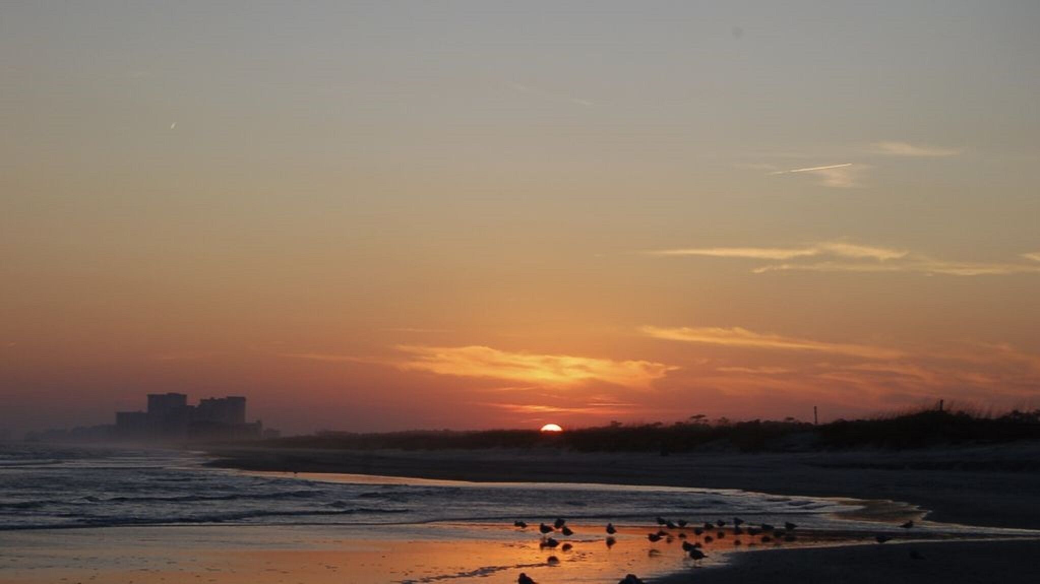 Un coucher de soleil sur une plage, avec des oiseaux sur le sable.