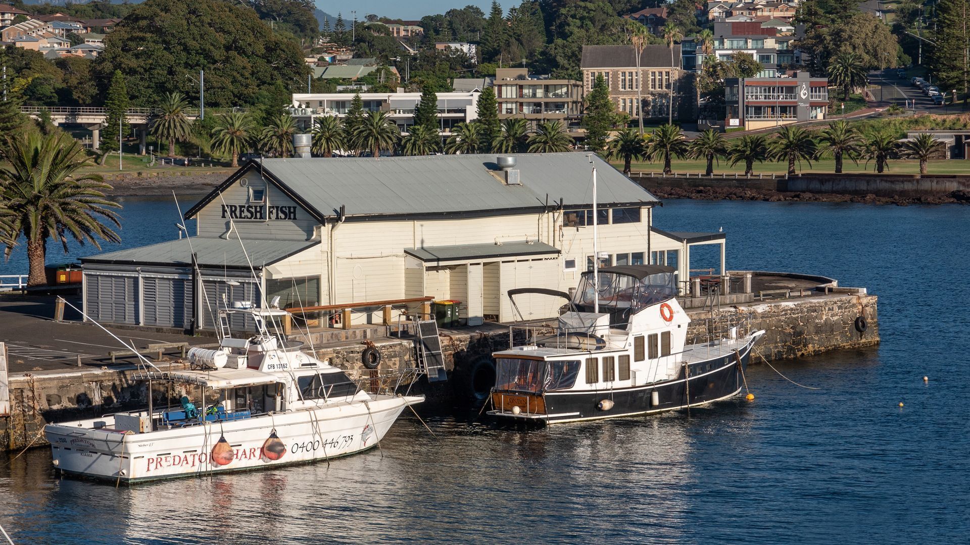 Top 10 Pet & DogFriendly In Kiama, Australia Updated