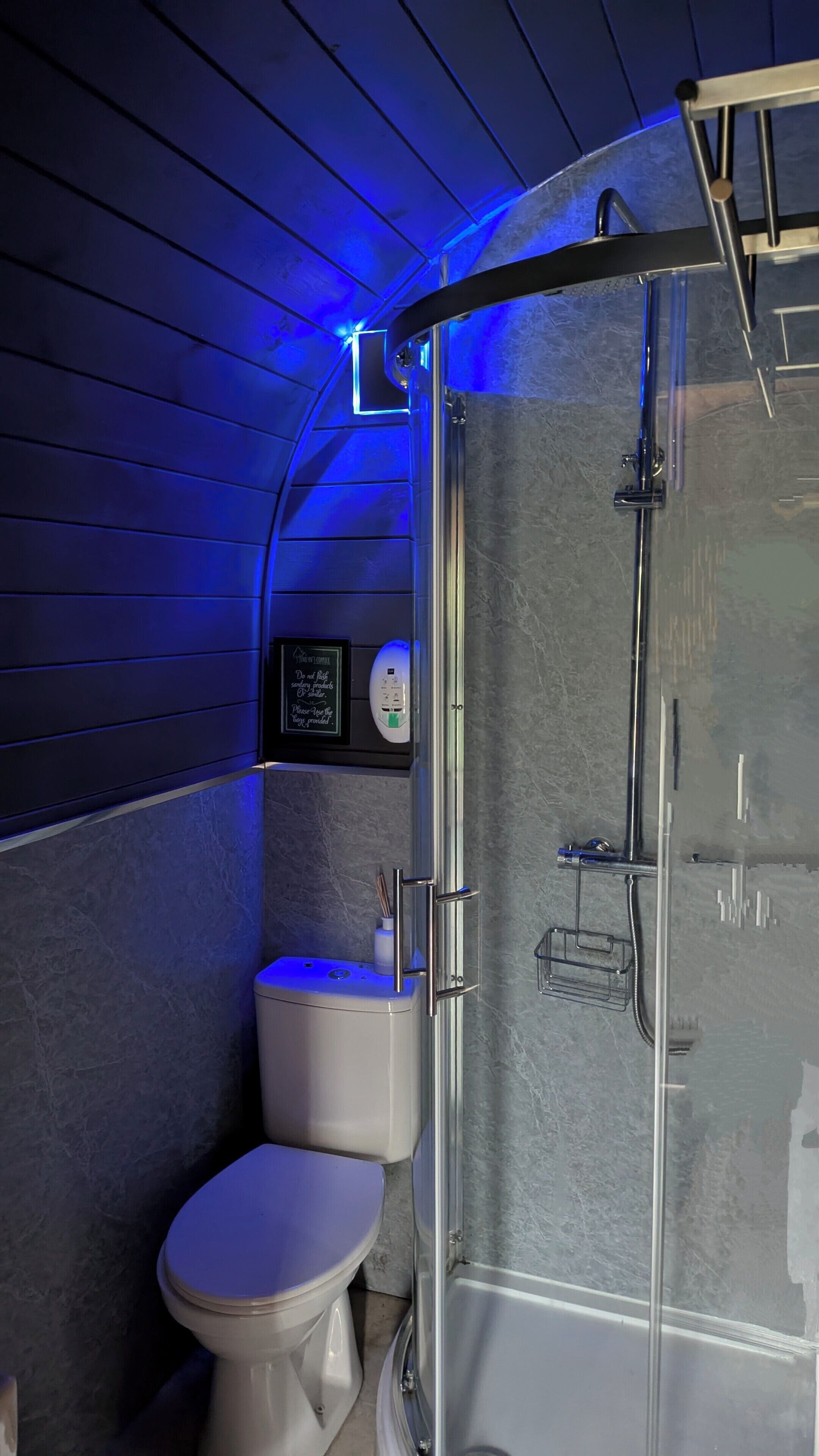 A modern bathroom with a glass-enclosed shower, a white toilet, and a blue-lit vanity area.