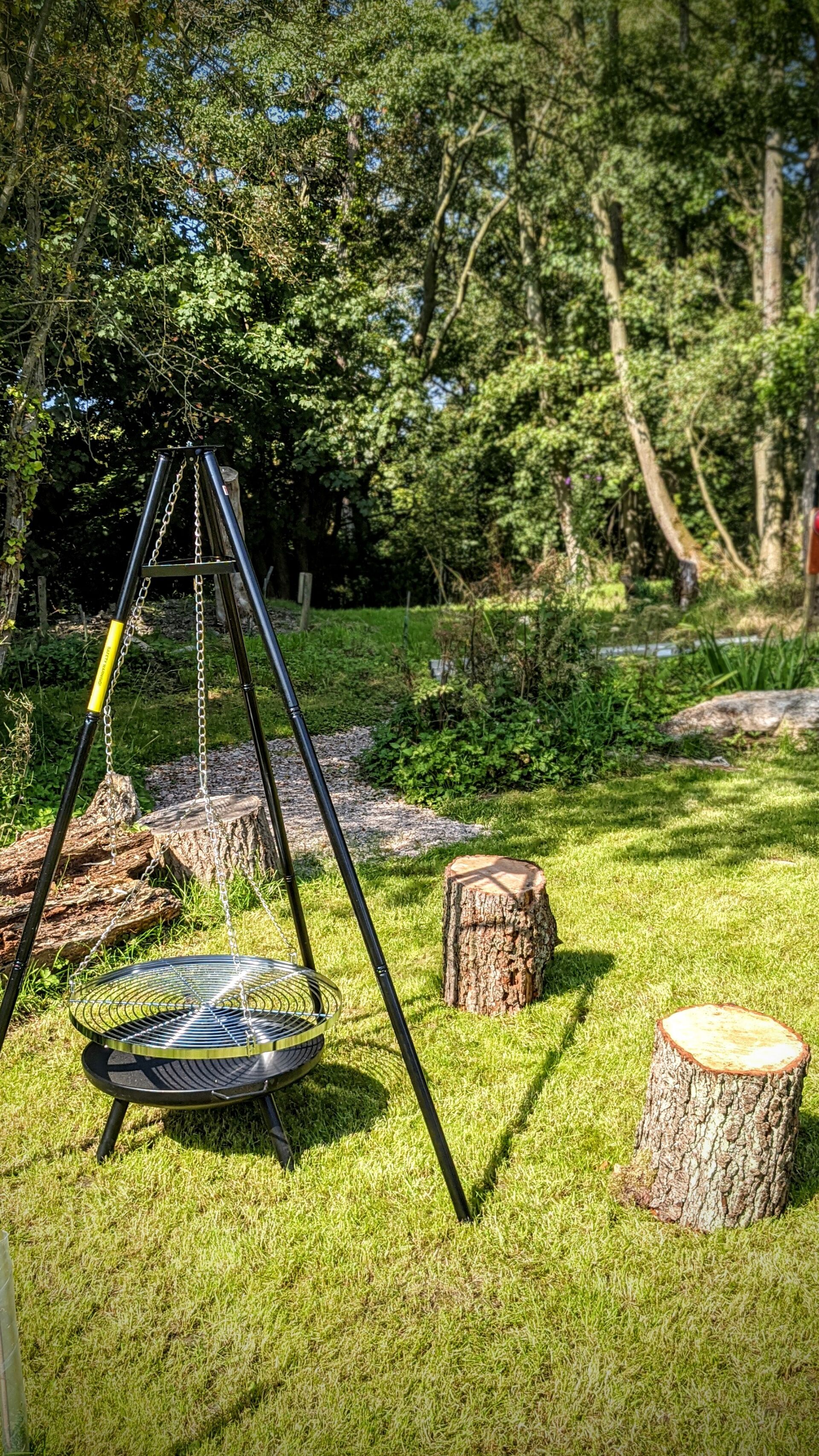 A swing set with a metal frame and a circular seat, positioned on a grassy area with trees and wooden stumps in the background.