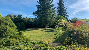 A well-maintained garden with various shrubs and a tall coniferous tree.