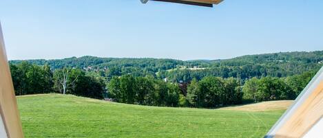 A view from a room with a skylight, overlooking a green field and forested hills.
