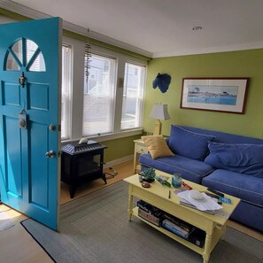 Älytelevisio, DVD-soitin, kirjoja, videokirjasto