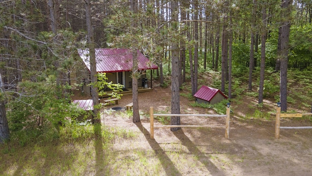 Une cabane au toit rouge, entourée d’une forêt dense.