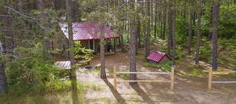 Secluded cabin in a Pine forest, just minutes away from  Crystal Mountain
