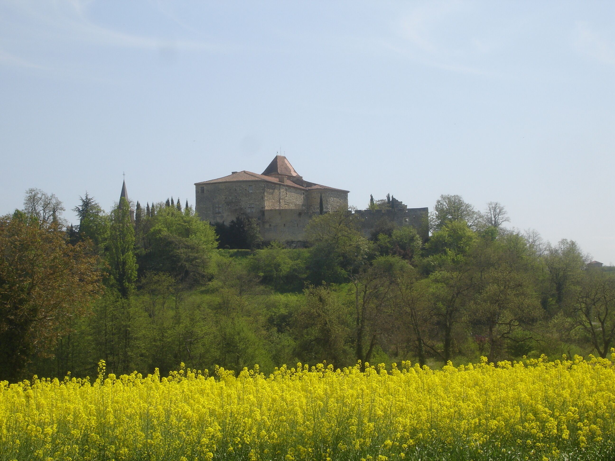 Un edificio histórico de piedra con una torre destacada, rodeado de abundante vegetación y un campo de flores amarillas.